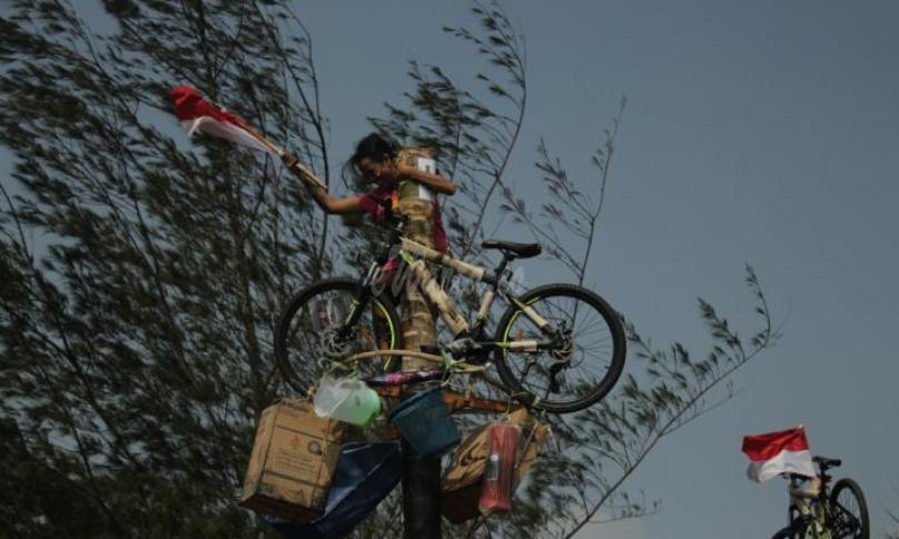 Lomba panjat pinang 