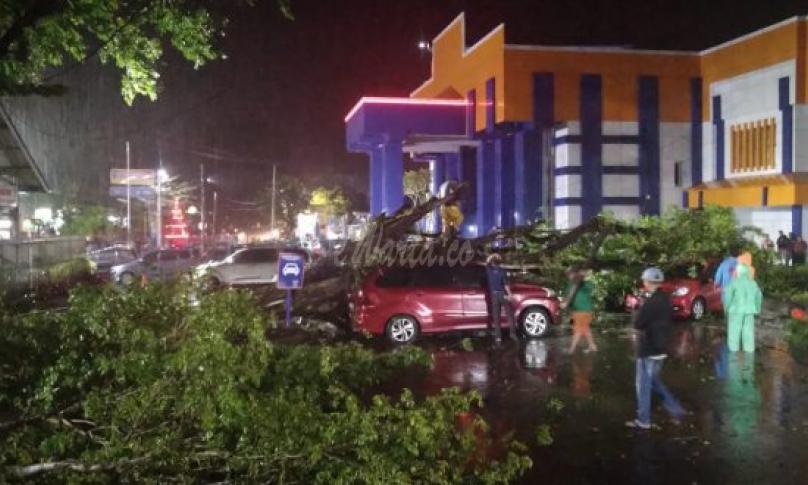 Dinas LH Kota Bengkulu langsung turun dan mengevakuasi pohon tumbang di depan RSHD Kota Bengkulu.