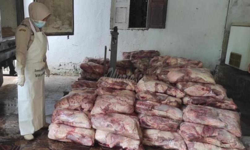 Karantina Pertanian Bengkulu Pastikan Lalulintas Daging Celeng ke Ragunan Aman