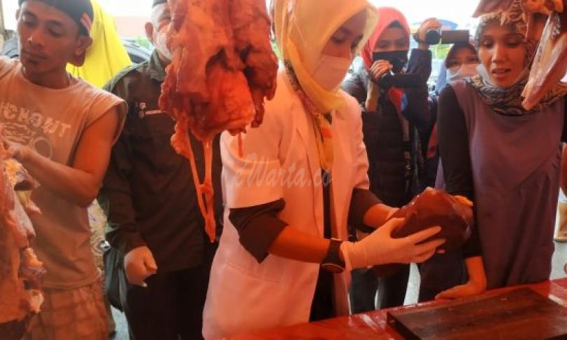 Periksa Penjualan Daging, Dispangtan Kota Bengkulu Temukan Cacing Hati