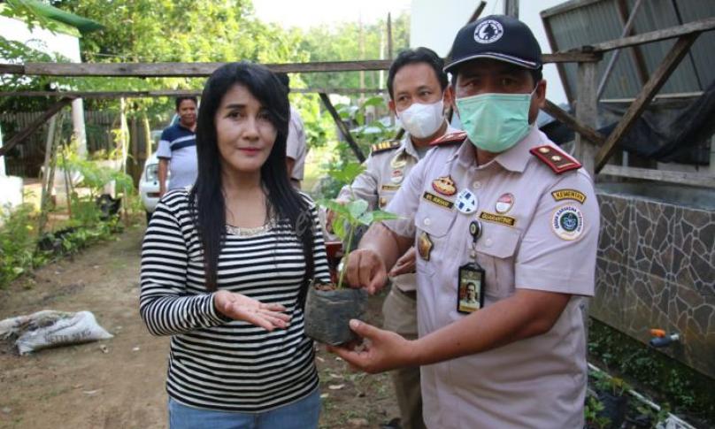 Karantina Pertanian Bengkulu Dukung Sertifikasi Ekspor Porang