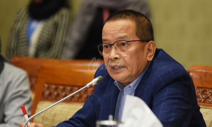 Anggota Komisi IX DPR RI Darul Siska