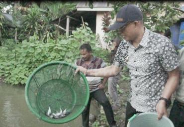 Gusnan Mulyadi saat meninjau budidaya ikan patin