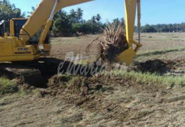 Pasca Banjir, Pemkab Bengkulu Selatan mulai rehabilitasi puluhan hektare sawah