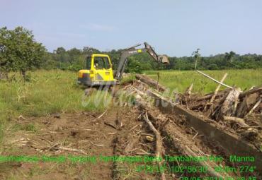 Dinas Pertanian Bengkulu Selatan mulai lakukan normalisasi sawah