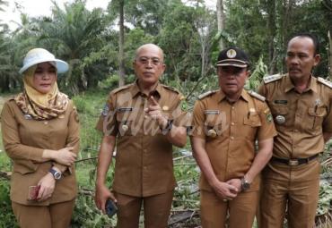 Bupati Bengkulu Selatan, Gusnan Mulyadi saat meninjau lokasi, Senin (8/7/2019)