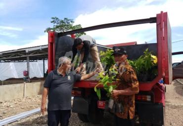 Bibit pohon diterima DLHK Bengkulu Selatan.