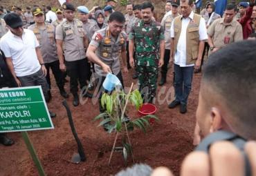 Peduli Lingkungan, TNI, POLRI dan BNPB tanam ribuan pohon hijau.