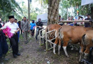 Dr. H. Rohidin Mersyah hadiri Pelayanan Kesehatan Hewan Untuk Ternak Masyarakat di Desa Padang Gading Kec. Sungai Rumbai Kab. Mukomuko, Minggu (23/2).