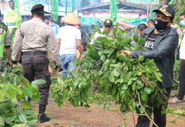 Wawali Dedy Bantu Evakuasi Pohon Tumbang di Tanah Patah