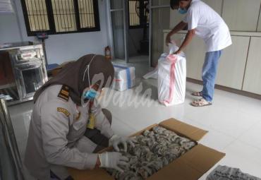Permintaan Komoditas Sarang Burung Walet Bengkulu Tak Pernah Sepi