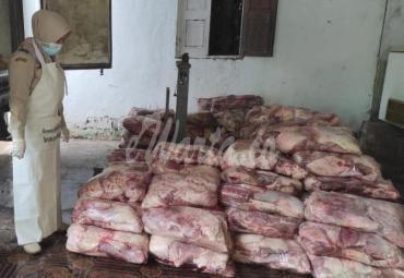 Karantina Pertanian Bengkulu Pastikan Lalulintas Daging Celeng ke Ragunan Aman
