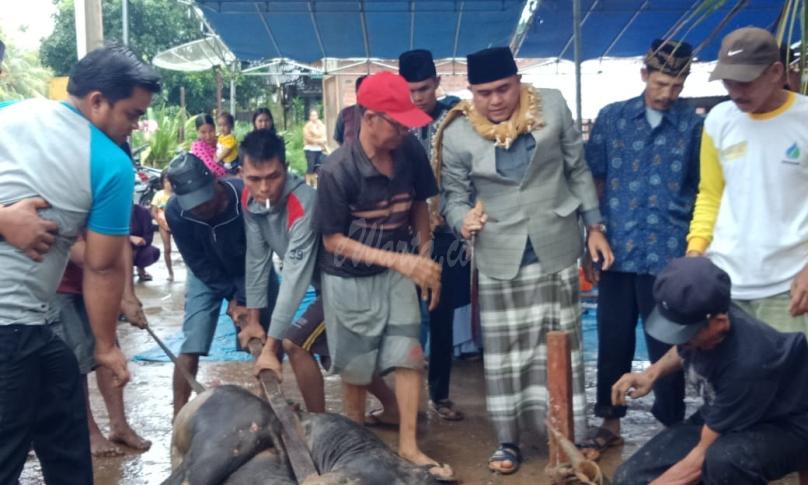 Husni Thamrin saksikan langsung pemotongan hewan kurban