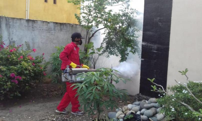Petugas Dinkes sedang melakukan fogging