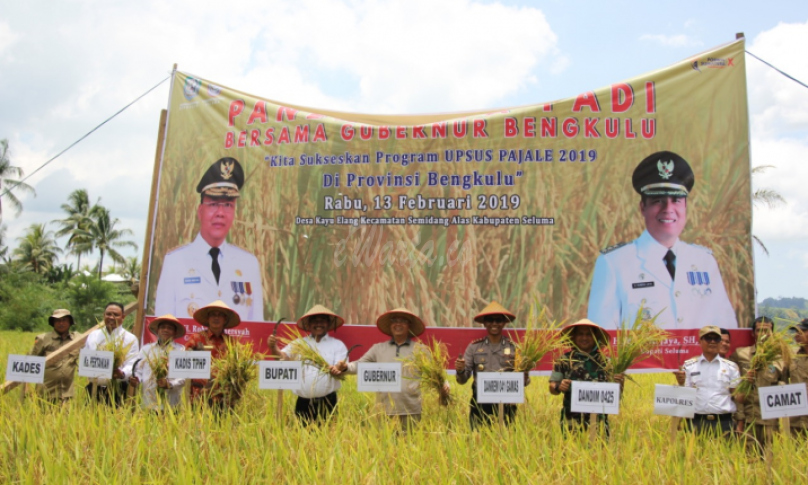 Gubernur Bengkulu hadiri panen raya di Desa Kayu Elang Kabupaten Seluma