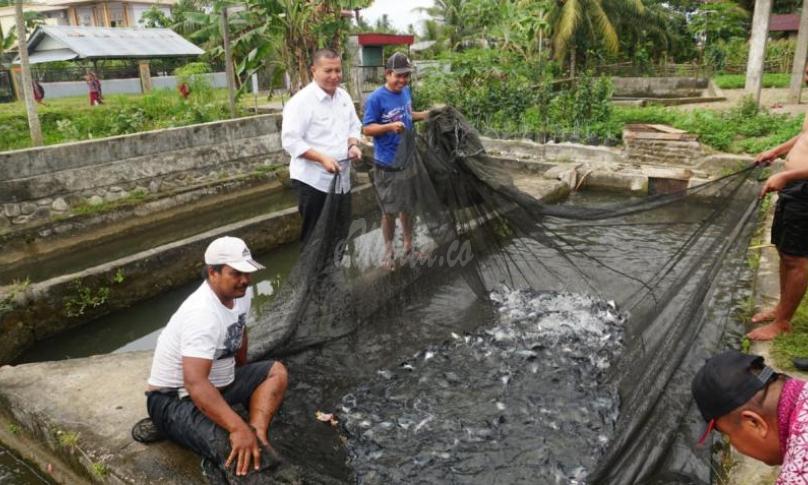 Salah satu petani ikan patin di Bengkulu Selatan