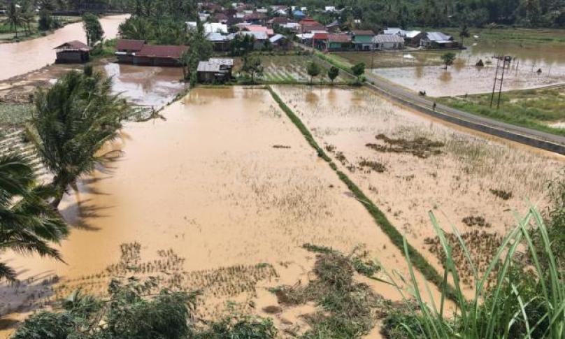 Kondisi terkini banjir masih merendam rumah warga dan persawahan