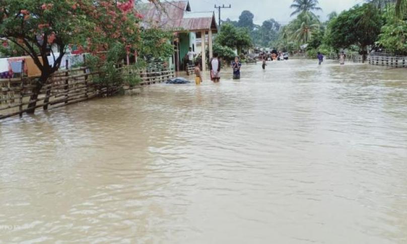 Banjir akibatkan ratusan rumah warga terendam dan puluhan hewan ternak mati, Seluma, Bengkulu
