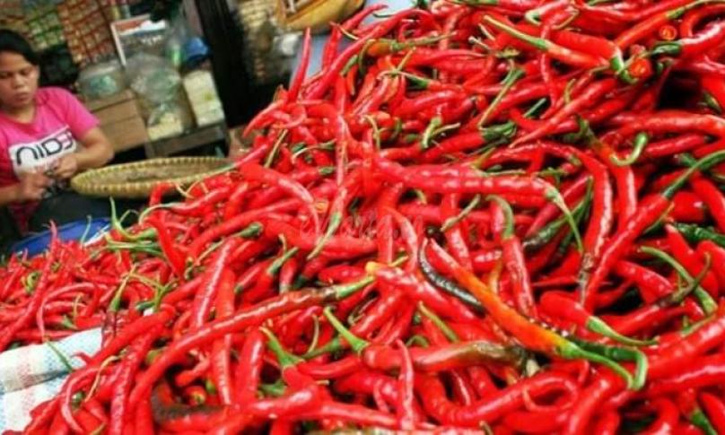 Daya jual beli cabai segar mulai menggeliat kembali