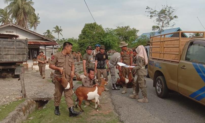 Tim Gabungan kembali laksanakan Razia ternak. 
