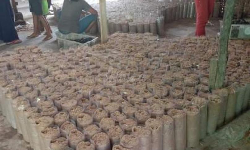 Usaha produksi bibit jamur tiram di Lampung Timur.