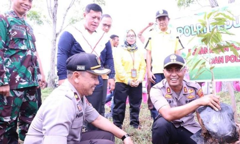 Penanaman pohon hijau