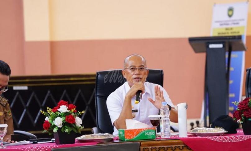 Bupati Bengkulu Selatan, Gusnan Mulyadi