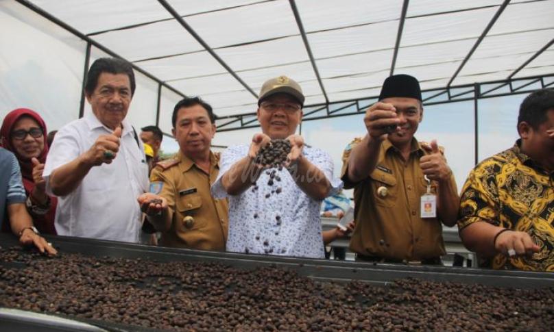 Salah satu kopi unggulan Bengkulu.