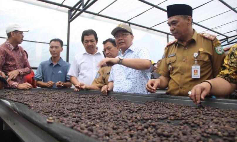 Gubernur, Pj Sekda provinsi Bengkulu, Sekda Kepahiang dan pejabat lainya melihat langsung proses pengeringan Kopi di Resi Gudang Kopi, Kepahiang.