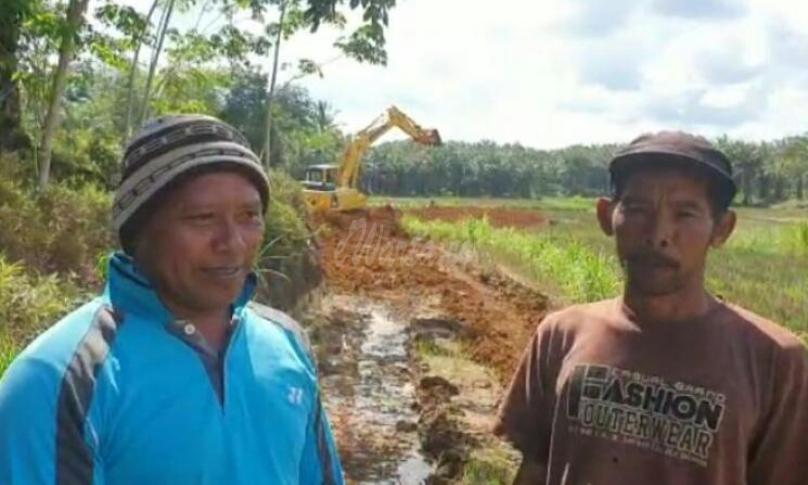Kelompok Tani Gading Makmur Kabupaten Mukomuko.