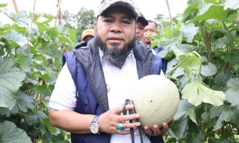 Walikota Bengkulu, Helmi Hasan saat mengunjungi kebun melon di Kelurahan Padang Serai, Kecamatan Kampung Melayu, Senin (6/4/20).