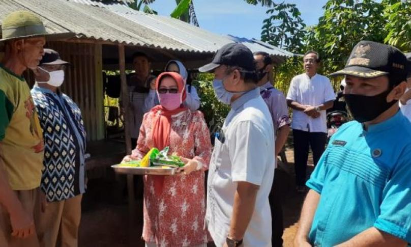 Ketua Poktan Tunggal Ika, Awai menyampaikan ucapan terima kasih kepada Pemkot Bengkulu terkhusus walikota dan wawali yang menurut dia sudah sangat peduli dengan masyarakatnya.