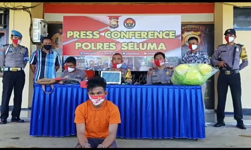 Residivis Curat yang diamankan Polsek Seluma