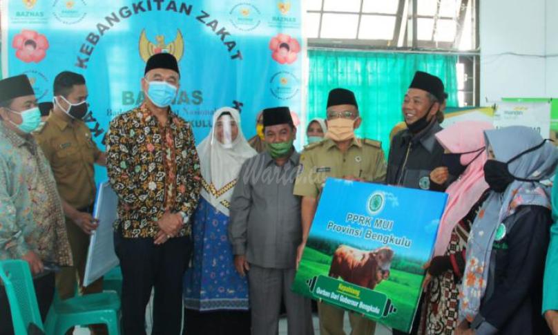 penyerahan sapi gubernur