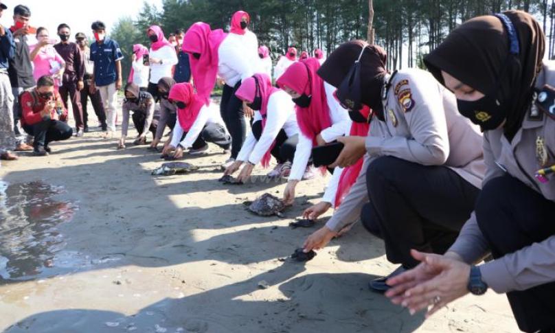 Lepas Tukik dan Bhakti Sosial di Pantai Pekik Nyaring