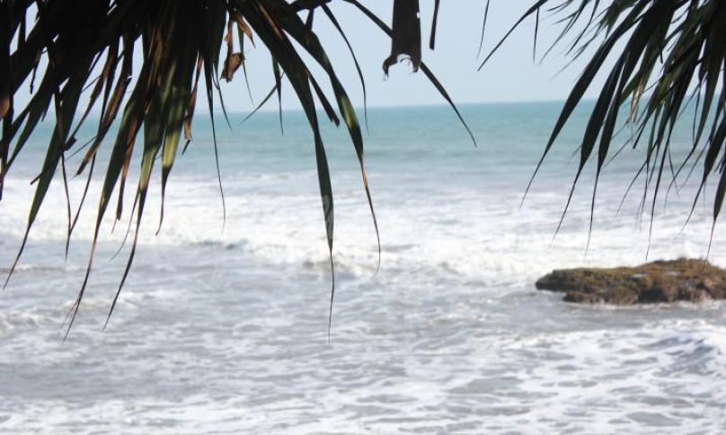 Pantai Sungai Suci Kabupaten Bengkulu Tengah. Foto : Af