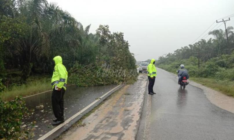 Satlantas Polres Mukomuko Bersihkan Pohon Tumbang yang Tutupi Badan Jalan