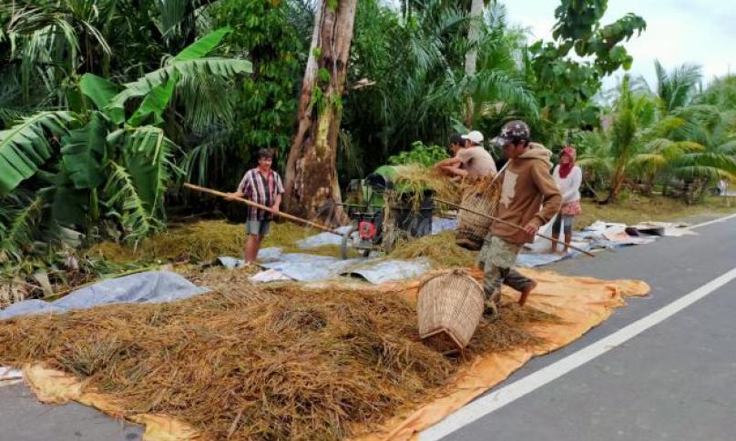 Hasil panen warga yang rusak akibat banjir