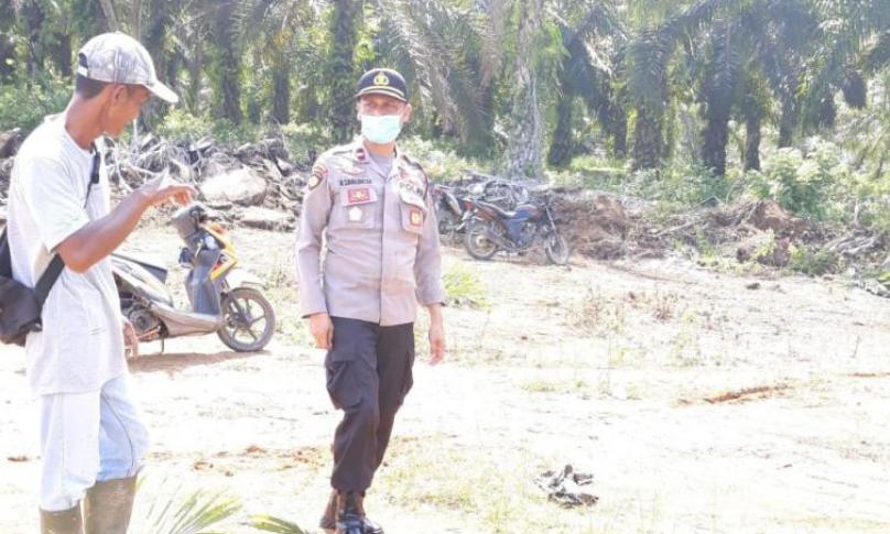 Polsek Teramang Jaya Selidiki Kasus Pengrusakkan Tanaman Sawit PT. MMAS