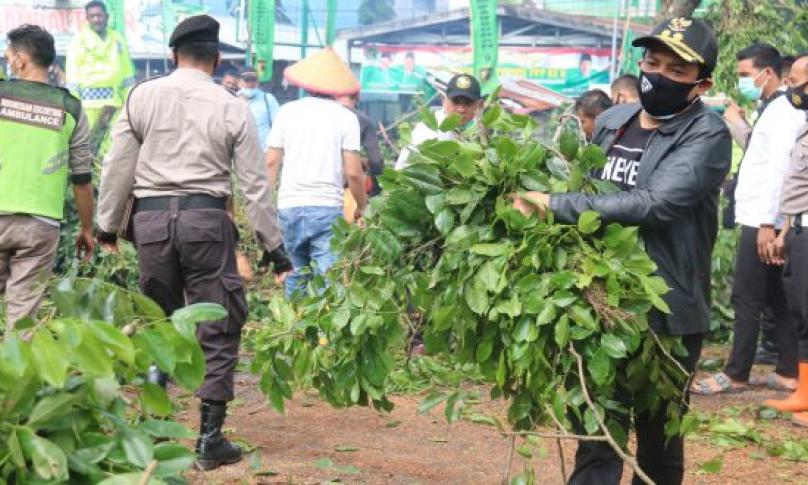 Wawali Dedy Bantu Evakuasi Pohon Tumbang di Tanah Patah