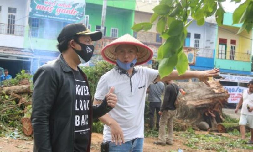 Cuaca Ekstrem, DLH Kota Bengkulu Akan Rutin Pangkas Pohon