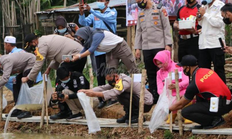 Polda Bengkulu Tebar 100.000 Bibit Ikan Lele di Dusun Besar