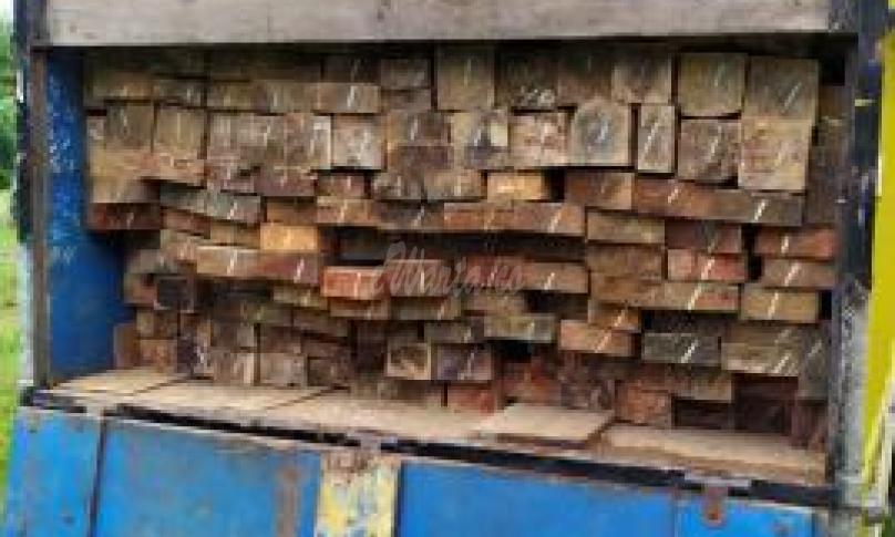 Kayu hasil illegal loging