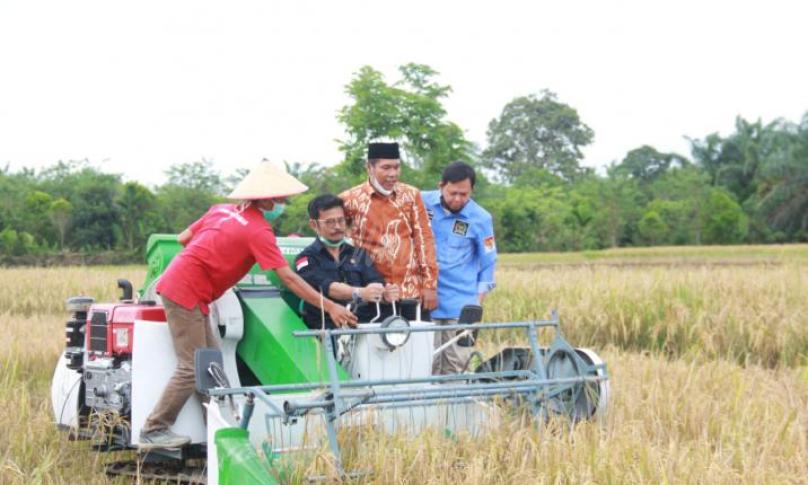 Bengkulu Usulkan 51.000 Hektare Lahan Cadangan Logistik Strategis 2021 