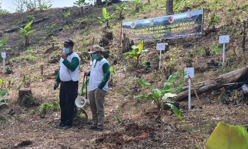 KLHK Rehabilitasi 2.000 Hektar Lahan Kritis di Bengkulu