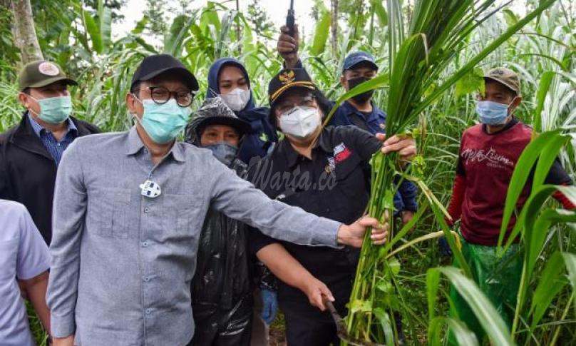  (Foto: Biro Humas KLHK)