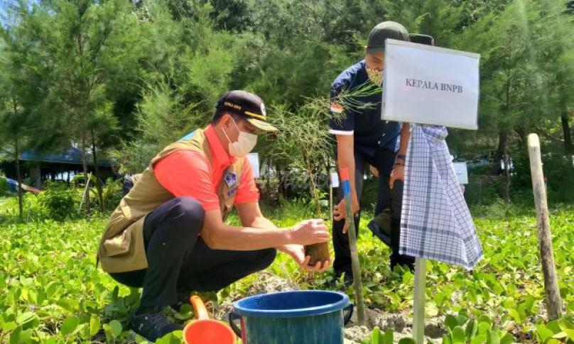 Mitigasi Bencana, Kepala BNPB RI Tanam Mangrove Bersama Gubernur