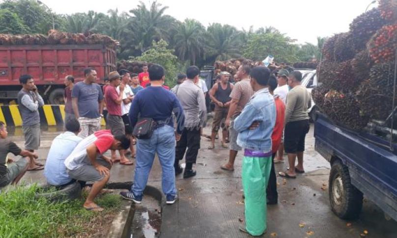 Sopir TBS Unjur Rasa Tolak Persentase Potongan dari PT KAS