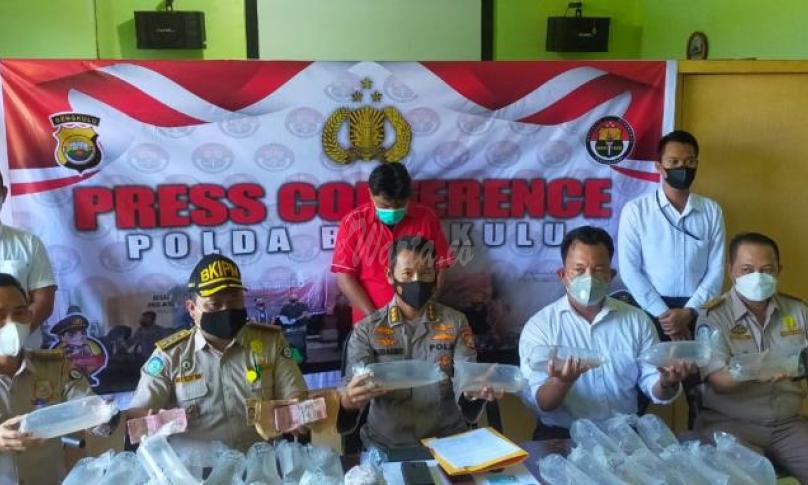 Usai Menangkap Penjual, Polda Bengkulu Incar Penadah Benih Lobster