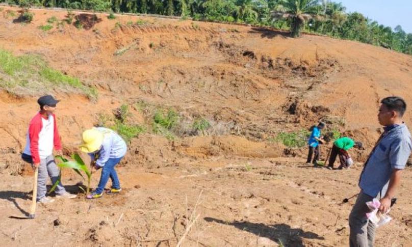 DLH Tanam 100 Pohon di Kawasan Kota Merah Putih
